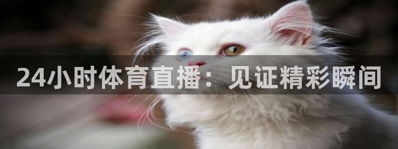 24小时体育直播：见证精彩瞬间
