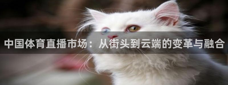 中国体育直播市场：从街头到云端的变革与融合