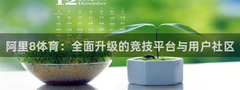 阿里8体育：全面升级的竞技平台与用户社区